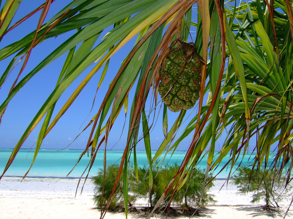 Zanzibar, Tanzanija - Zanzibar