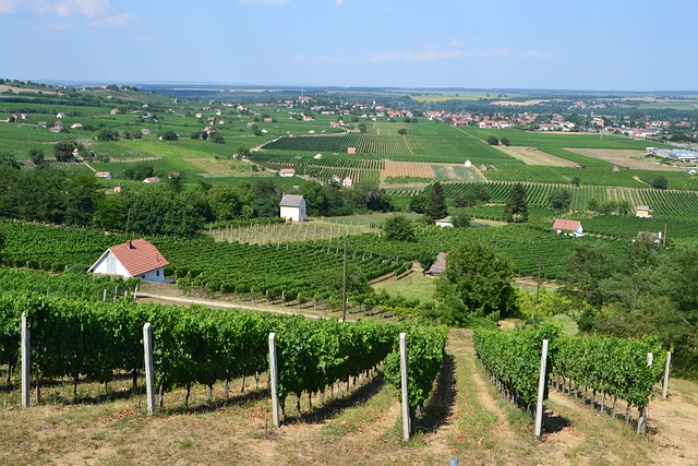 Mađarska Wine & Spa tura, Mađarska - više destinacija