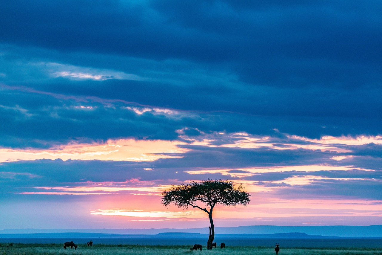 Kenija safari , Kenija - Nova godina